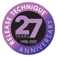 27th anniversary logo